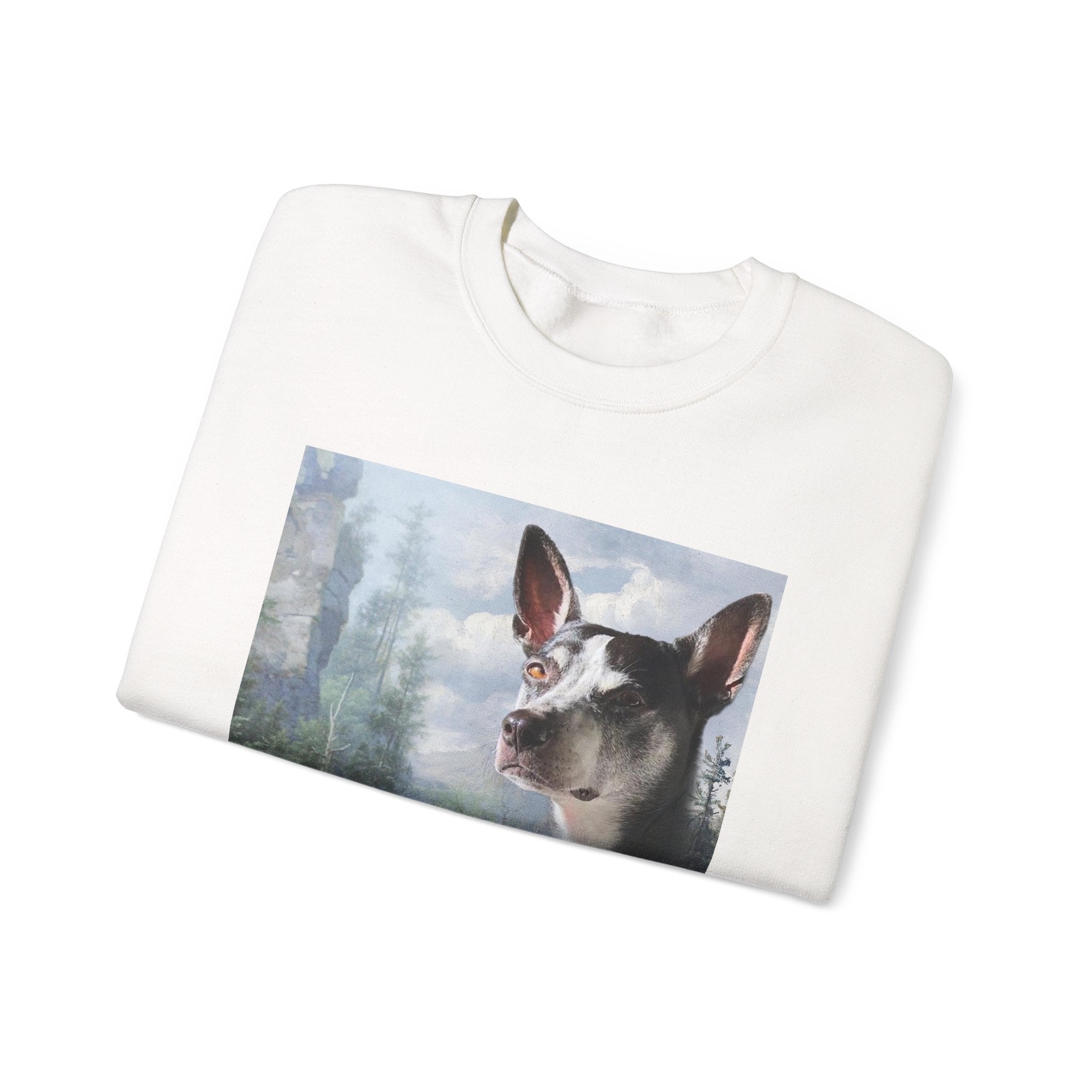 Wild Masterpieces Collaboration Cozy Sweatshirt