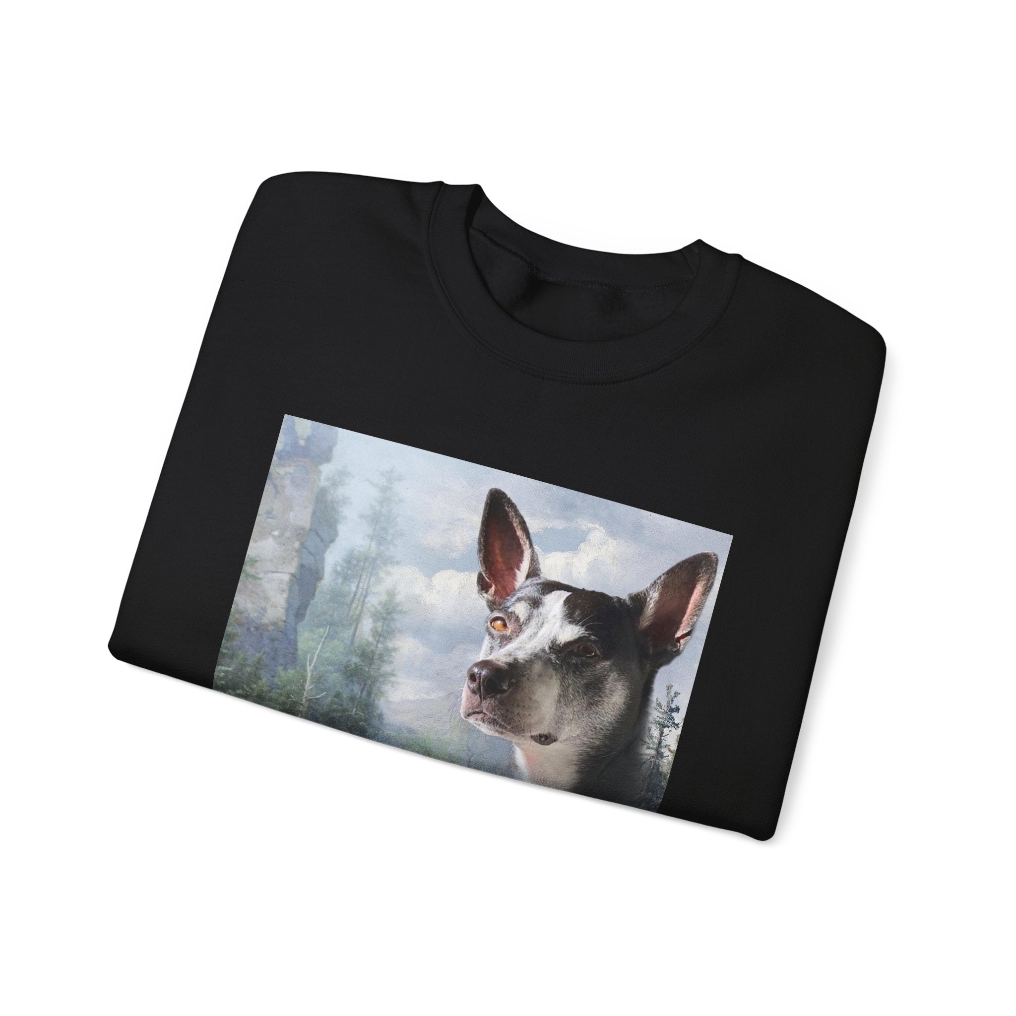 Wild Masterpieces Collaboration Cozy Sweatshirt