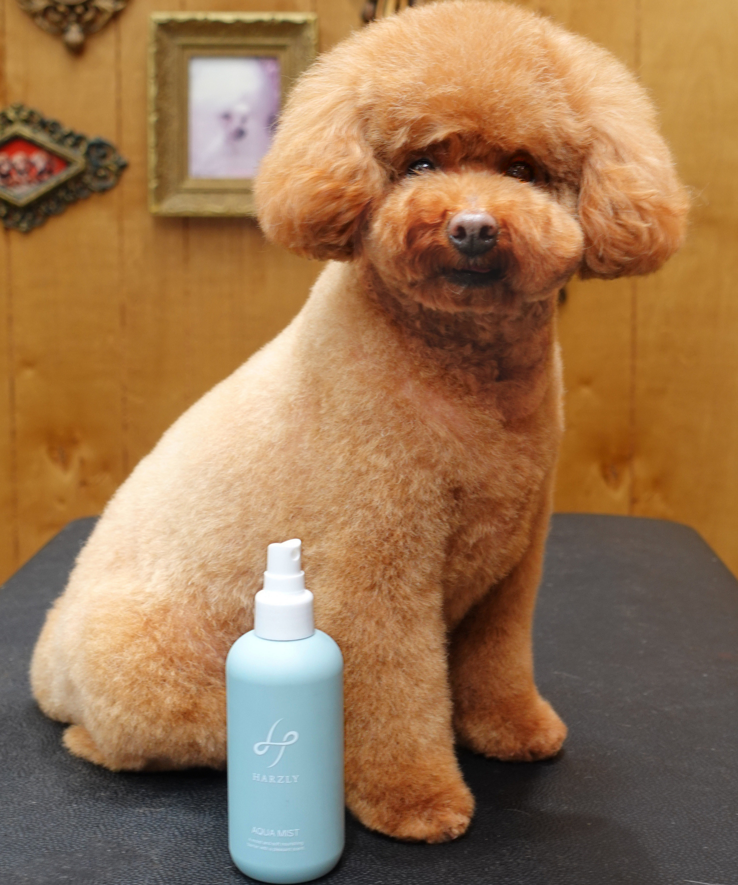 Harzly Aqua Mist