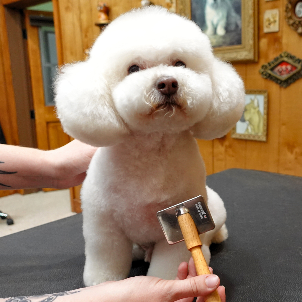 Tiiiinyyy K Pro Slicker Brush