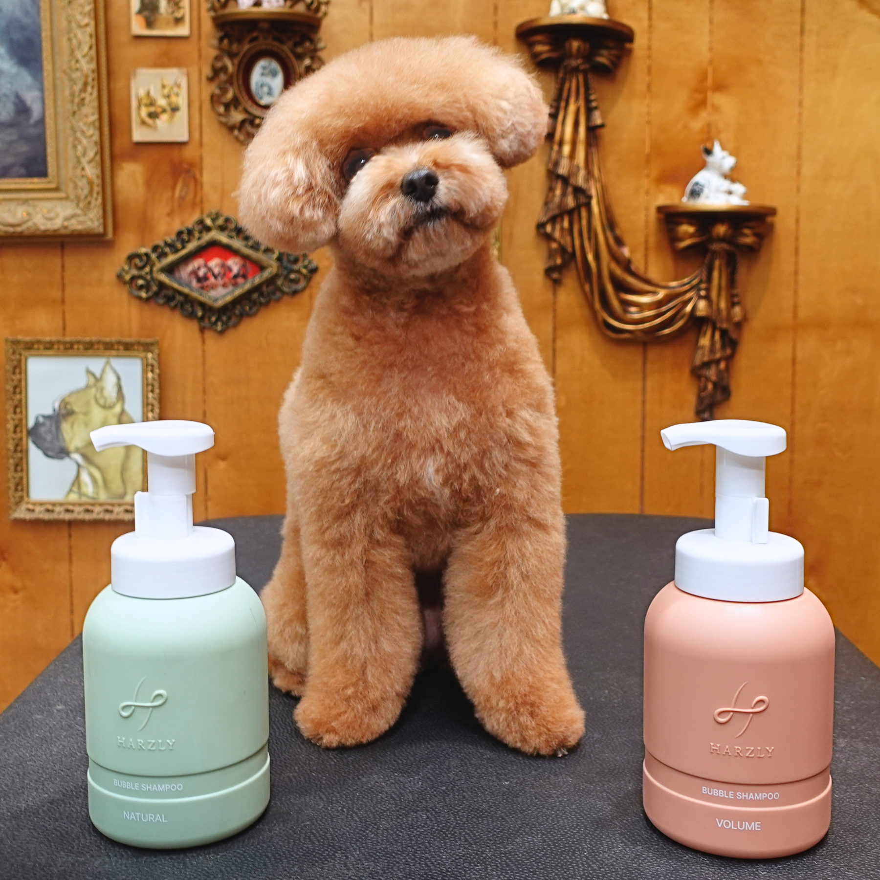 Harzly Bubble Shampoo: Volume